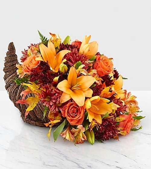 Harvest Comfort Cornucopia