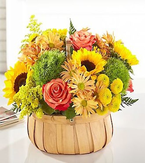 Harvest Sunflower Basket